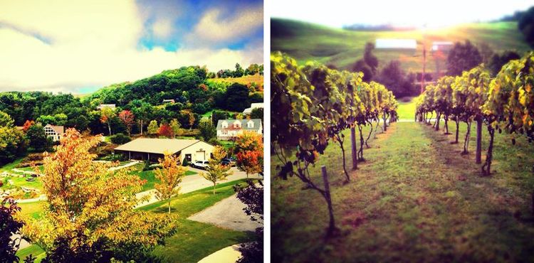 The Beauty of Banner Elk Winery & Villa in Fall