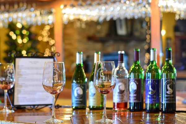 Why Attending a Wine Tasting Is a Must-Do at Banner Elk Winery & Villa