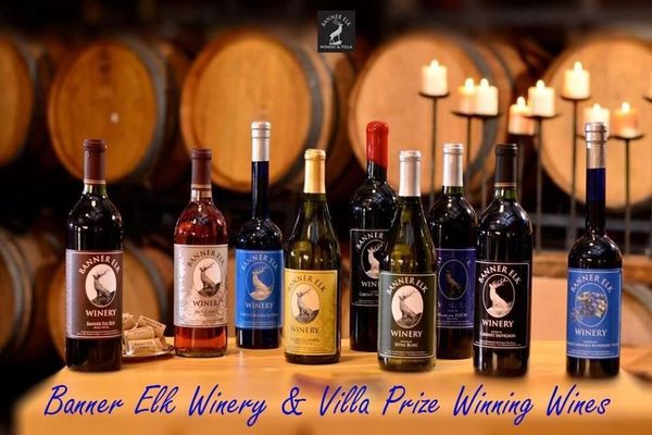 Why Attending a Wine Tasting Is a Must-Do at Banner Elk Winery & Villa