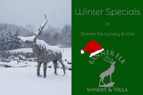 Winter Specials at Banner Elk Winery and Villa