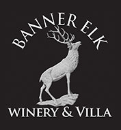 Banner Elk Winery & Villa - Couple On Rock