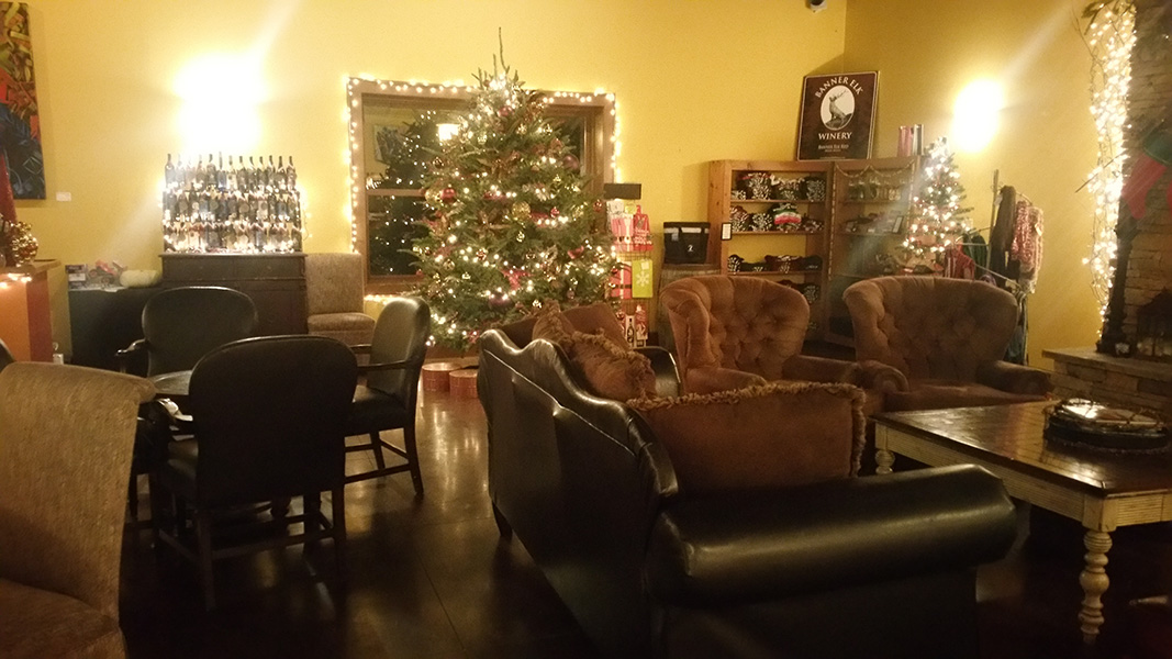 Banner Elk Winery - Winter 2016