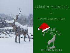 Winter Specials at Banner Elk Winery and Villa!!